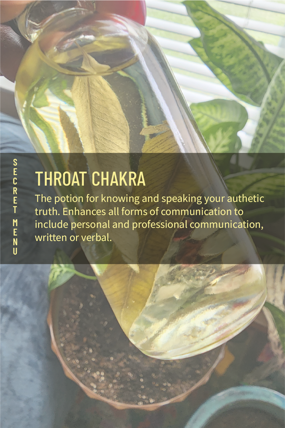Throat Chakra