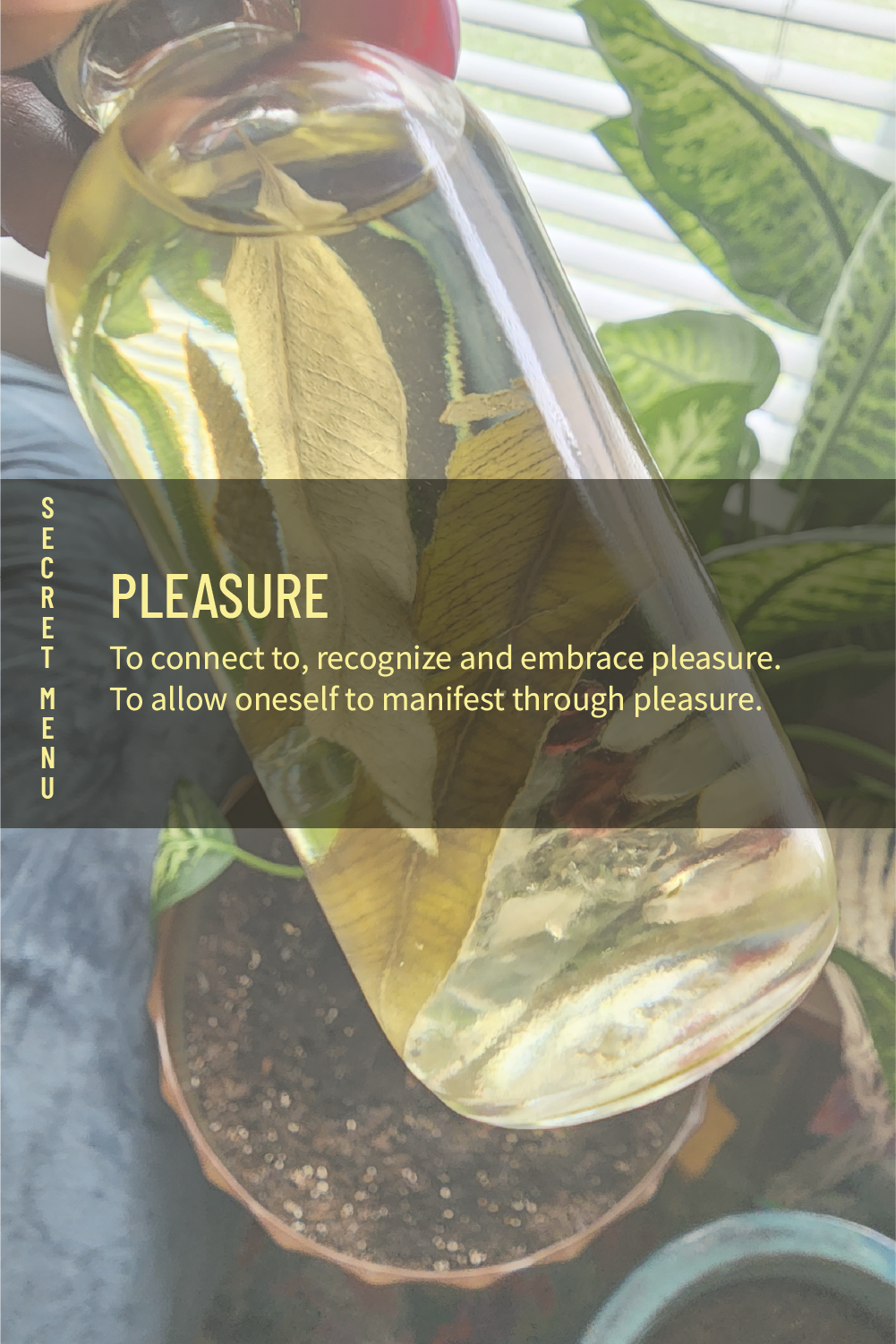 Pleasure
