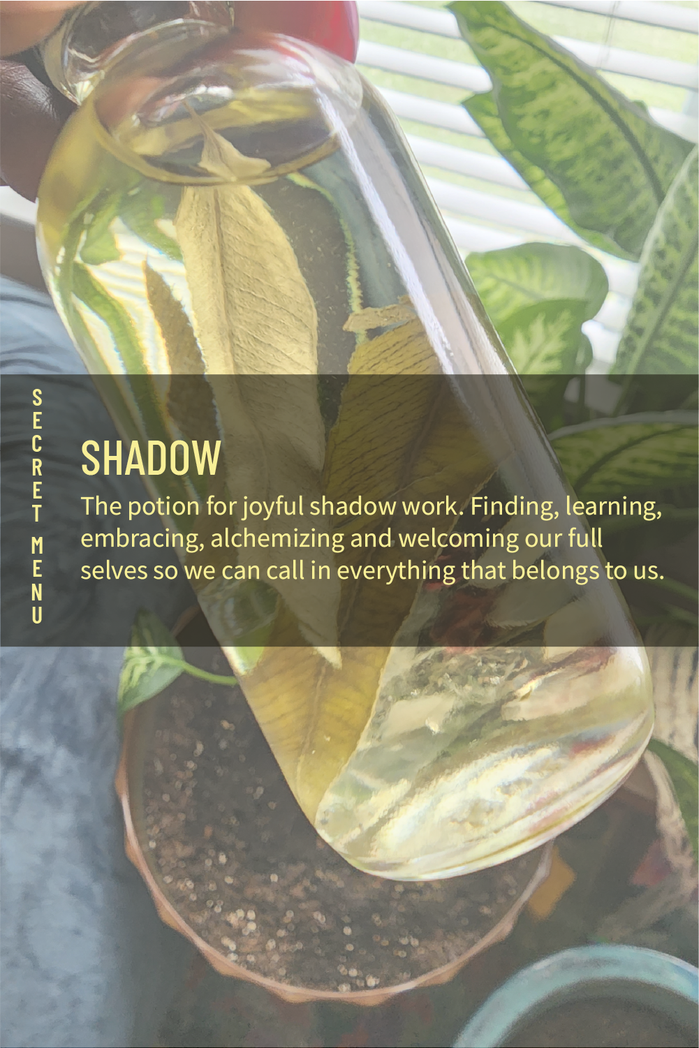 Shadow