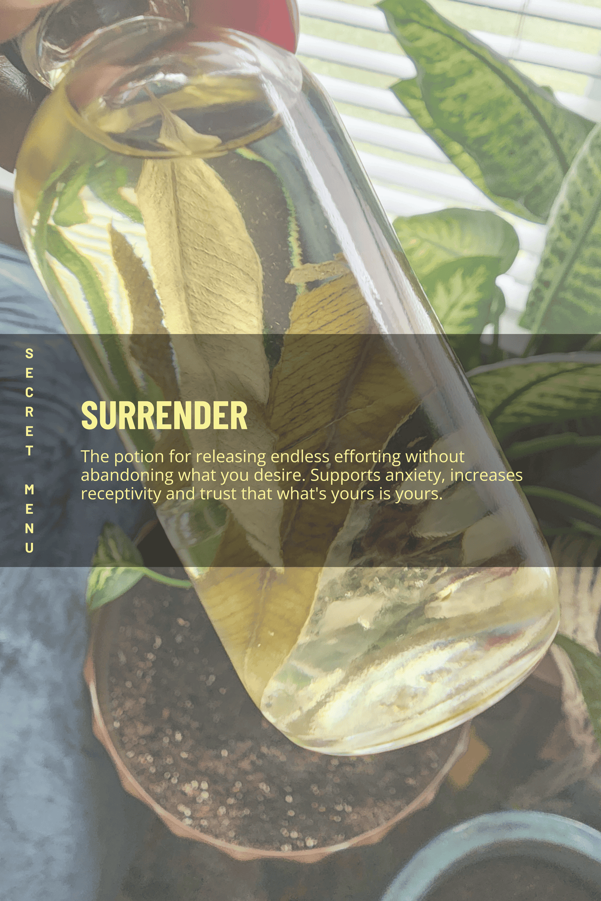 Surrender