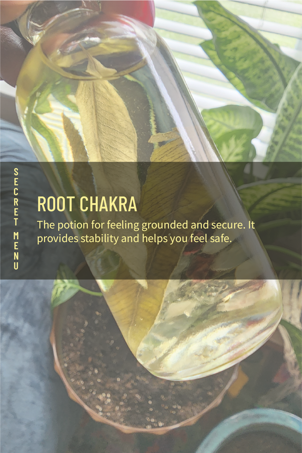 Root Chakra