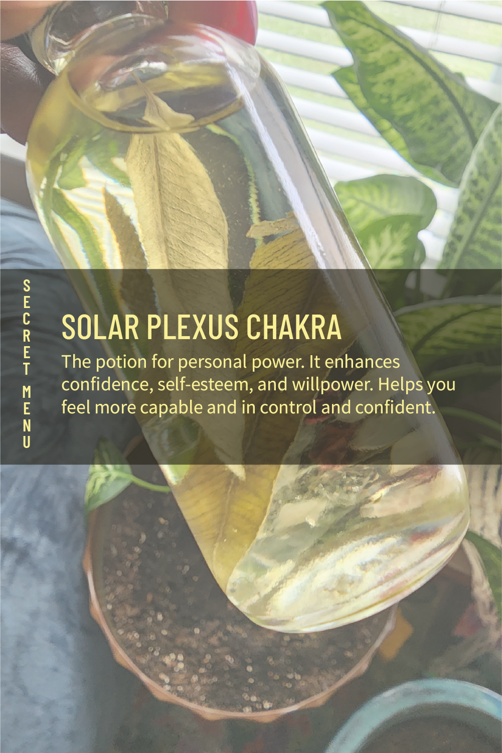 Solar Plexus Chakra